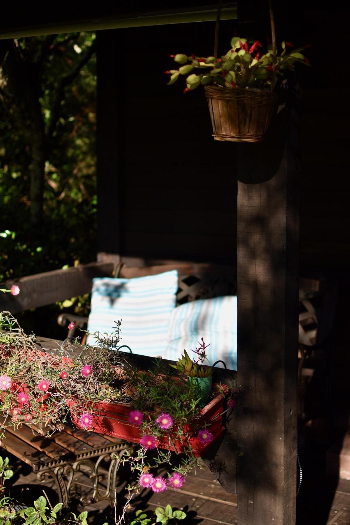 O Cantinho De Coura - A Cabana ปาเรเจส เจ โครา ภายนอก รูปภาพ