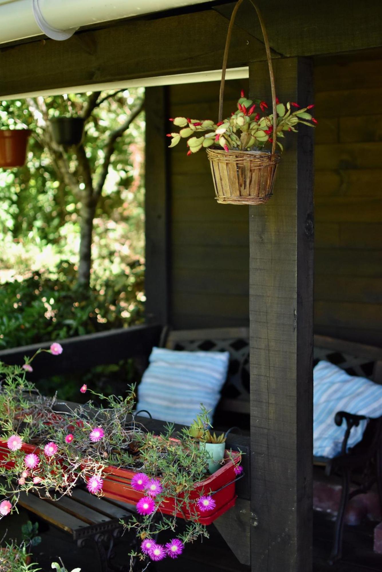 O Cantinho De Coura - A Cabana ปาเรเจส เจ โครา ภายนอก รูปภาพ