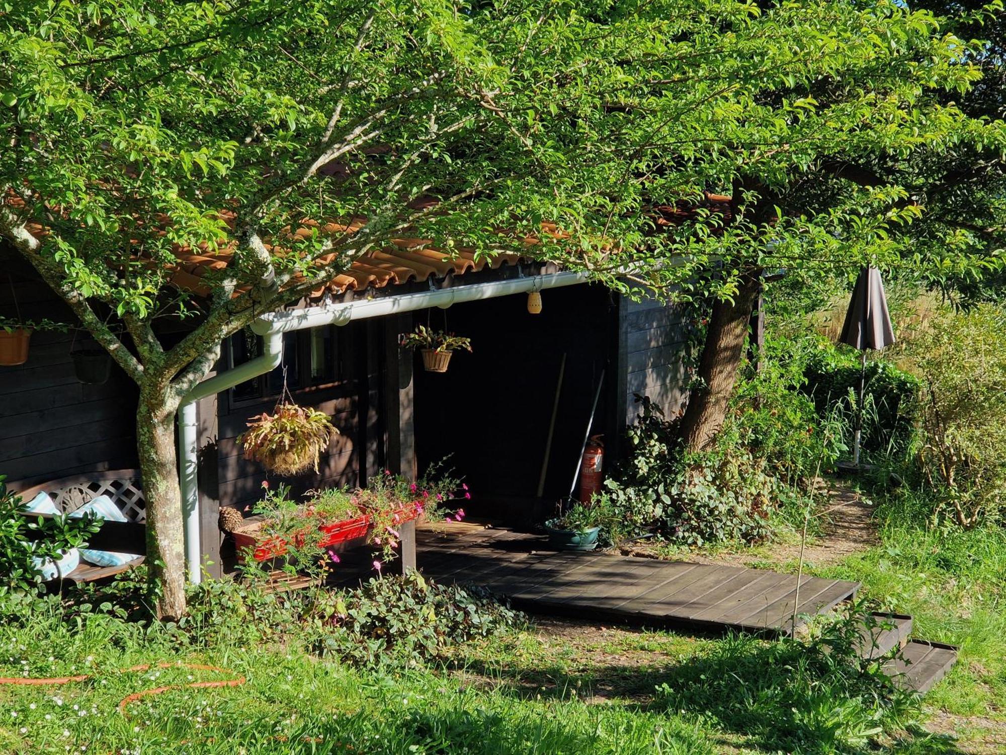 O Cantinho De Coura - A Cabana ปาเรเจส เจ โครา ภายนอก รูปภาพ